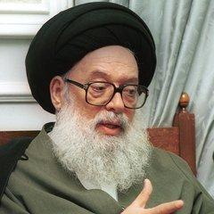 Mohammad Hussein Fadlallah quotes