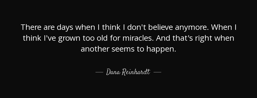 quote there are days when i think i don t believe anymore when i think i ve grown too old dana reinhardt Quotes