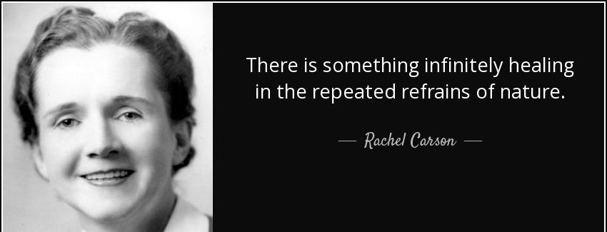 quote there is something infinitely healing in the repeated refrains of nature rachel carson Quotes