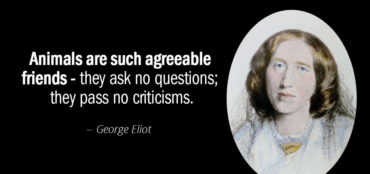 Quotation George Eliot Animals are such agreeable friends they ask no questions they Quotes