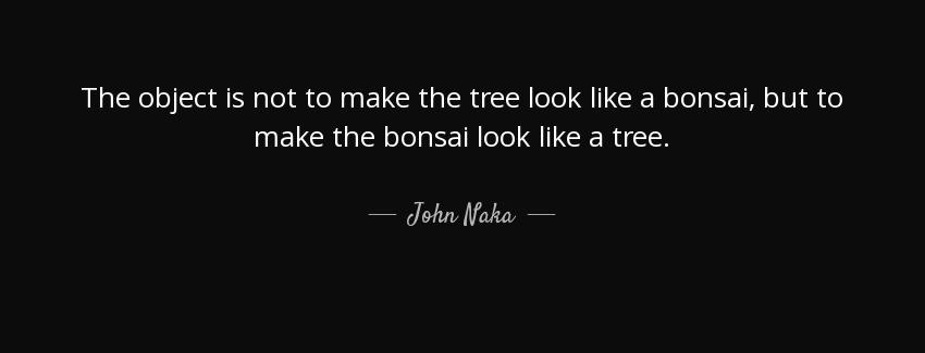 quote the object is not to make the tree look like a bonsai but to make the bonsai look like john naka Quotes