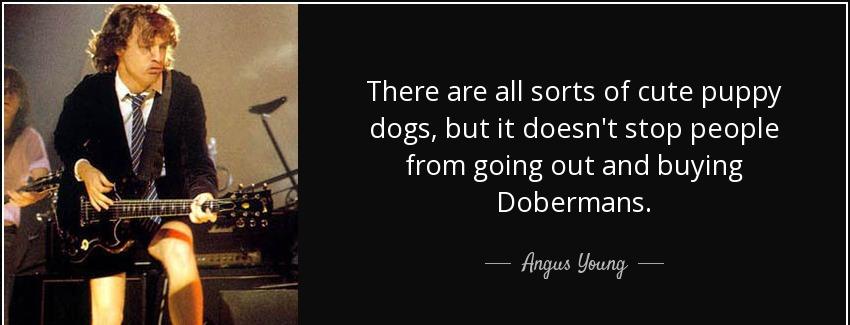 quote there are all sorts of cute puppy dogs but it doesn t stop people from going out and angus young Quotes