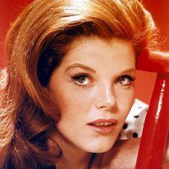 Samantha Eggar quotes