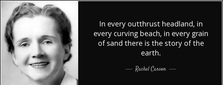 quote in every outthrust headland in every curving beach in every grain of sand there is the rachel carson Quotes