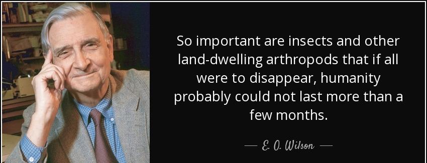 quote so important are insects and other land dwelling arthropods that if all were to disappear e o wilson Quotes