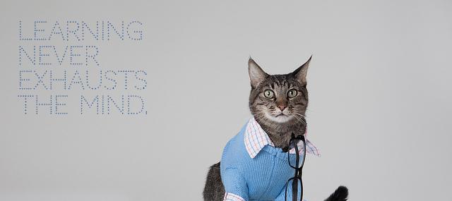 Quotation Leonardo da Vinci Learning never exhausts the mind Quotes