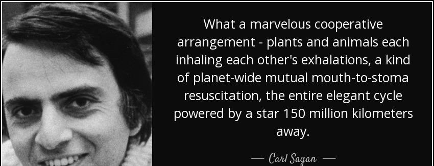 quote what a marvelous cooperative arrangement plants and animals each inhaling each other carl sagan Quotes