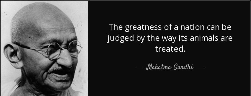 quote the greatness of a nation can be judged by the way its animals are treated mahatma gandhi Quotes