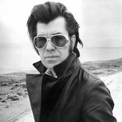 Link Wray quotes