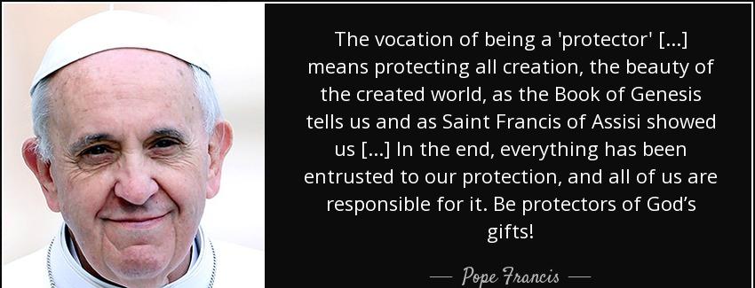 quote the vocation of being a protector means protecting all creation the beauty of the created pope francis Quotes