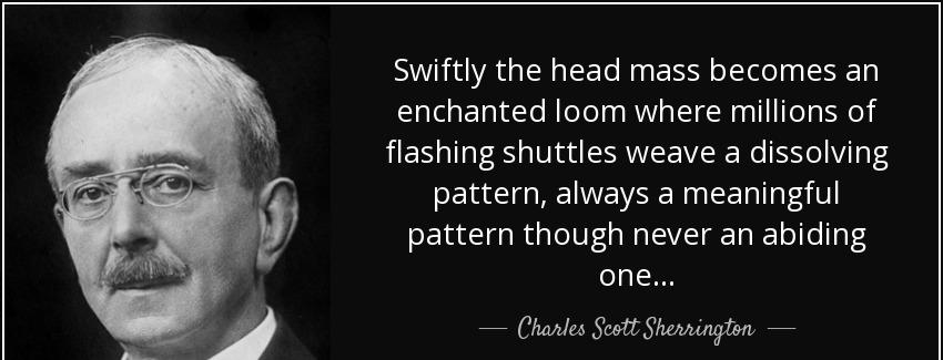 quote swiftly the head mass becomes an enchanted loom where millions of flashing shuttles charles scott sherrington Quotes