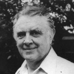 Victor Turner quotes