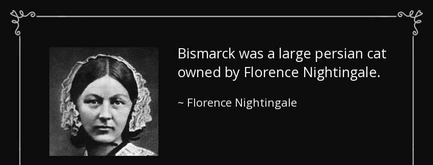 quote bismarck was a large persian cat owned by florence nightingale florence nightingale Quotes