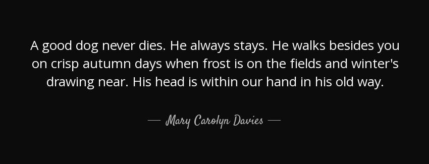 quote a good dog never dies he always stays he walks besides you on crisp autumn days when mary carolyn davies Quotes