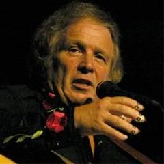 Don McLean quotes