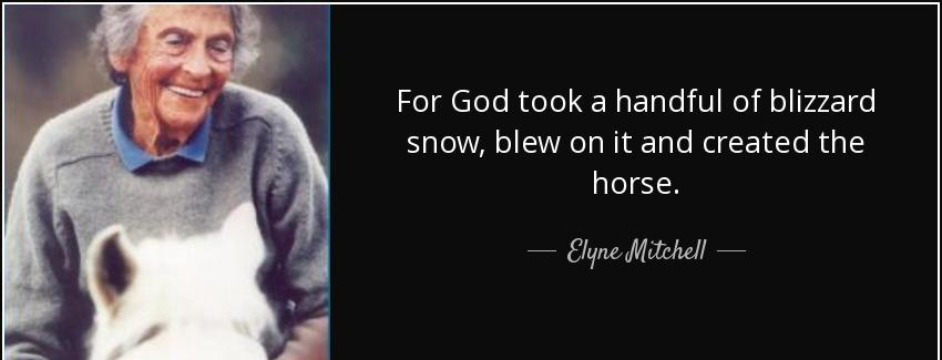 quote for god took a handful of blizzard snow blew on it and created the horse elyne mitchell Quotes