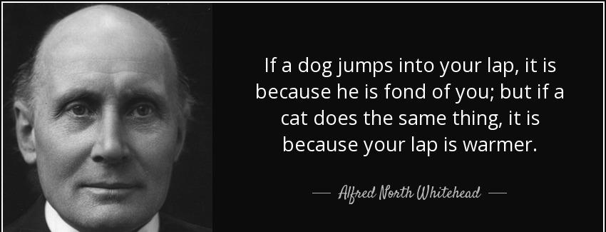 quote if a dog jumps into your lap it is because he is fond of you but if a cat does the same alfred north whitehead Quotes
