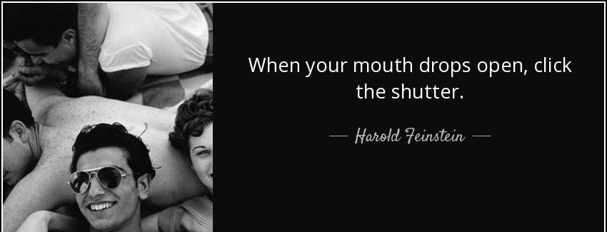quote when your mouth drops open click the shutter harold feinstein Quotes