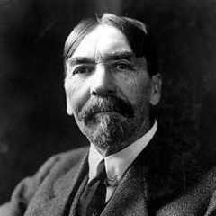 Thorstein Veblen quotes