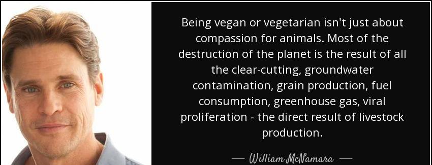 quote being vegan or vegetarian isn t just about compassion for animals most of the destruction william mcnamara Quotes
