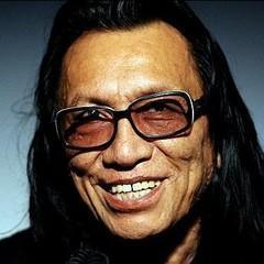 Sixto Rodriguez quotes