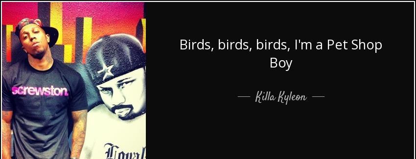 quote birds birds birds i m a pet shop boy killa kyleon Quotes