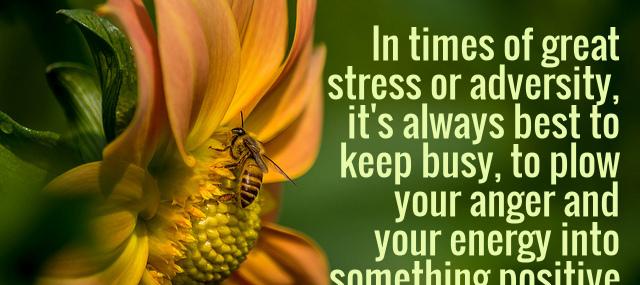 Quotation Lee Iacocca In times of great stress or adversity it s always Quotes