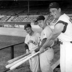 Ted Kluszewski quotes