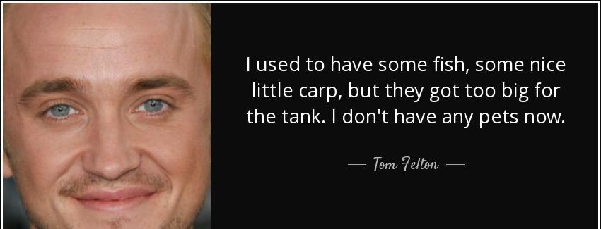 quote i used to have some fish some nice little carp but they got too big for the tank i don tom felton Quotes