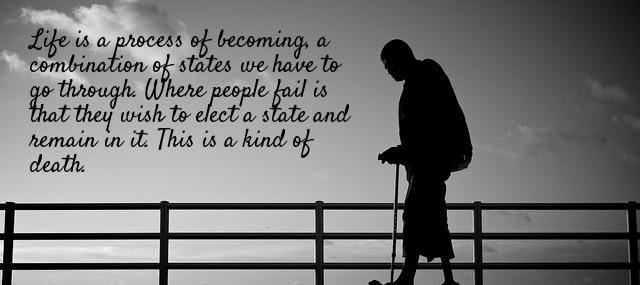 Quotation Anais Nin Life is a process of becoming a combination of states Quotes