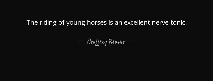 quote the riding of young horses is an excellent nerve tonic geoffrey brooke Quotes