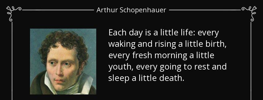 quote each day is a little life every waking and rising a little birth every fresh morning arthur schopenhauer Quotes