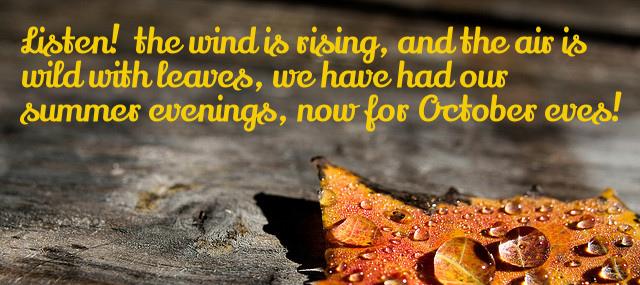 Quotation Humbert Wolfe Listen the wind is rising and the air is wild Quotes