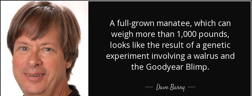 quote a full grown manatee which can weigh more than 1 000 pounds looks like the result of dave barry Quotes