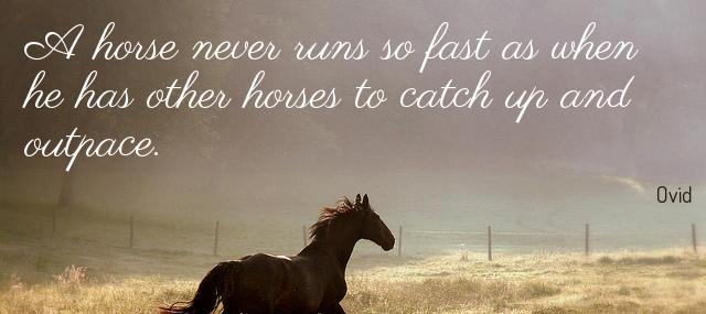 Quotation Ovid A horse never runs so fast as when he has Quotes
