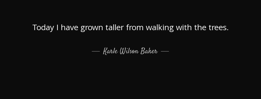 quote today i have grown taller from walking with the trees karle wilson baker Quotes