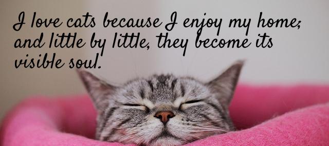 Quotation Jean Cocteau I love cats because I enjoy my home and little Quotes