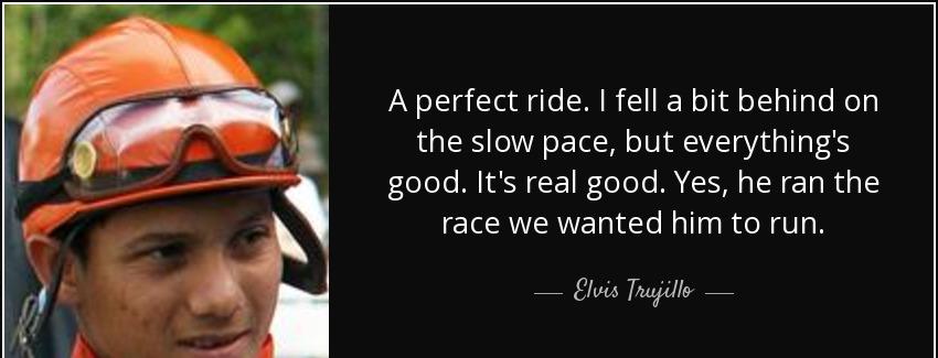 quote a perfect ride i fell a bit behind on the slow pace but everything s good it s real elvis trujillo Quotes