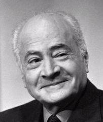 Pierre Daninos quotes