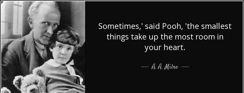 quote sometimes said pooh the smallest things take up the most room in your heart a a milne Quotes