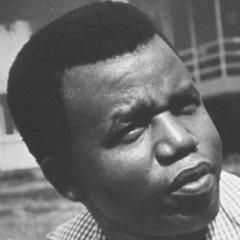 Chinua Achebe quotes
