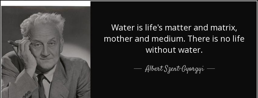 quote water is life s matter and matrix mother and medium there is no life without water albert szent gyorgyi Quotes