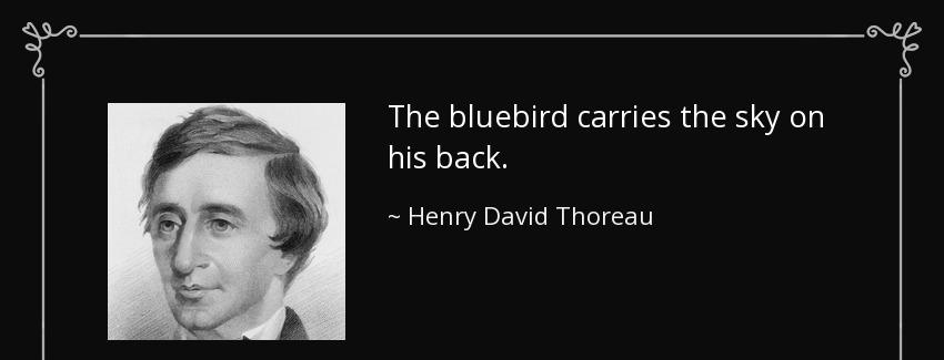quote the bluebird carries the sky on his back henry david thoreau Quotes