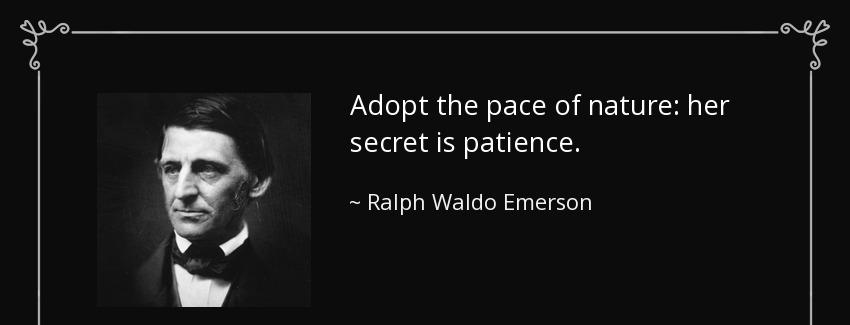 quote adopt the pace of nature her secret is patience ralph waldo emerson Quotes