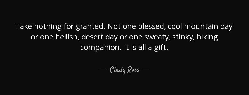 quote take nothing for granted not one blessed cool mountain day or one hellish desert day cindy ross Quotes