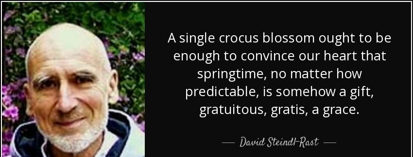 quote a single crocus blossom ought to be enough to convince our heart that springtime no david steindl rast Quotes