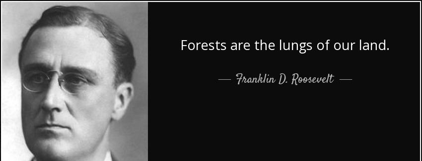 quote forests are the lungs of our land franklin d roosevelt Quotes