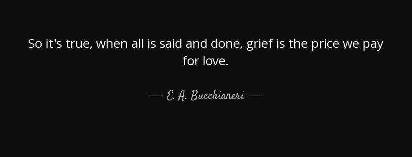 quote so it s true when all is said and done grief is the price we pay for love e a bucchianeri Quotes