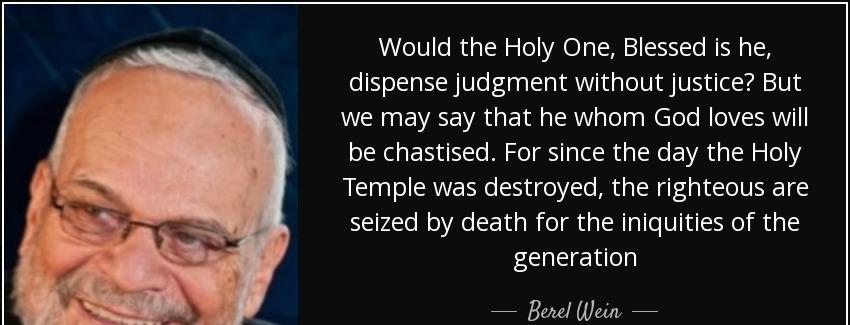 quote would the holy one blessed is he dispense judgment without justice but we may say that berel wein Quotes