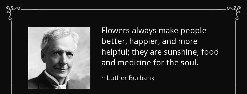 quote flowers always make people better happier and more helpful they are sunshine food and luther burbank Quotes